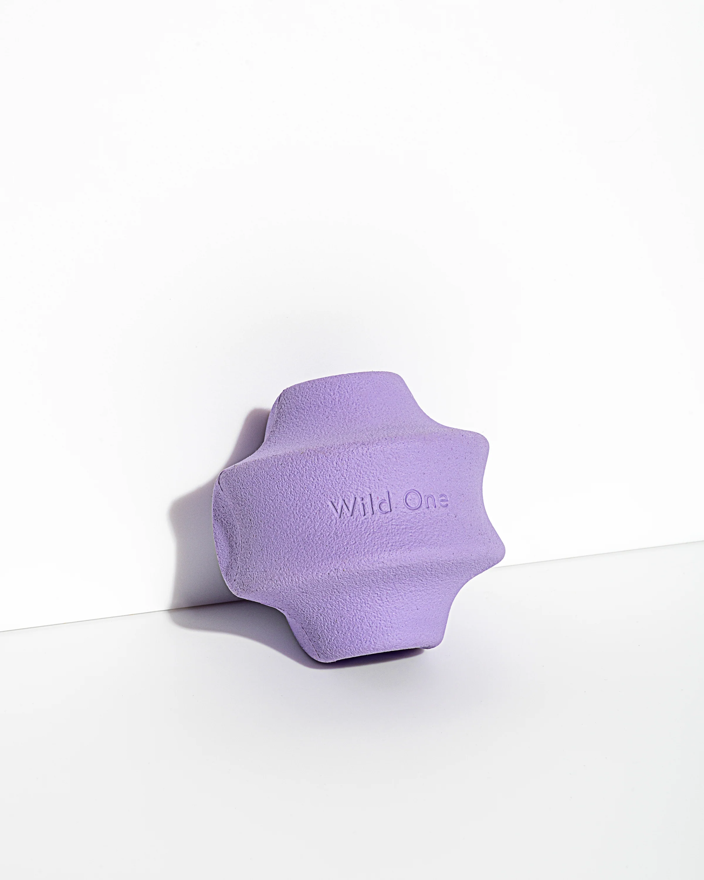 Dog Toy Kit - Image 17