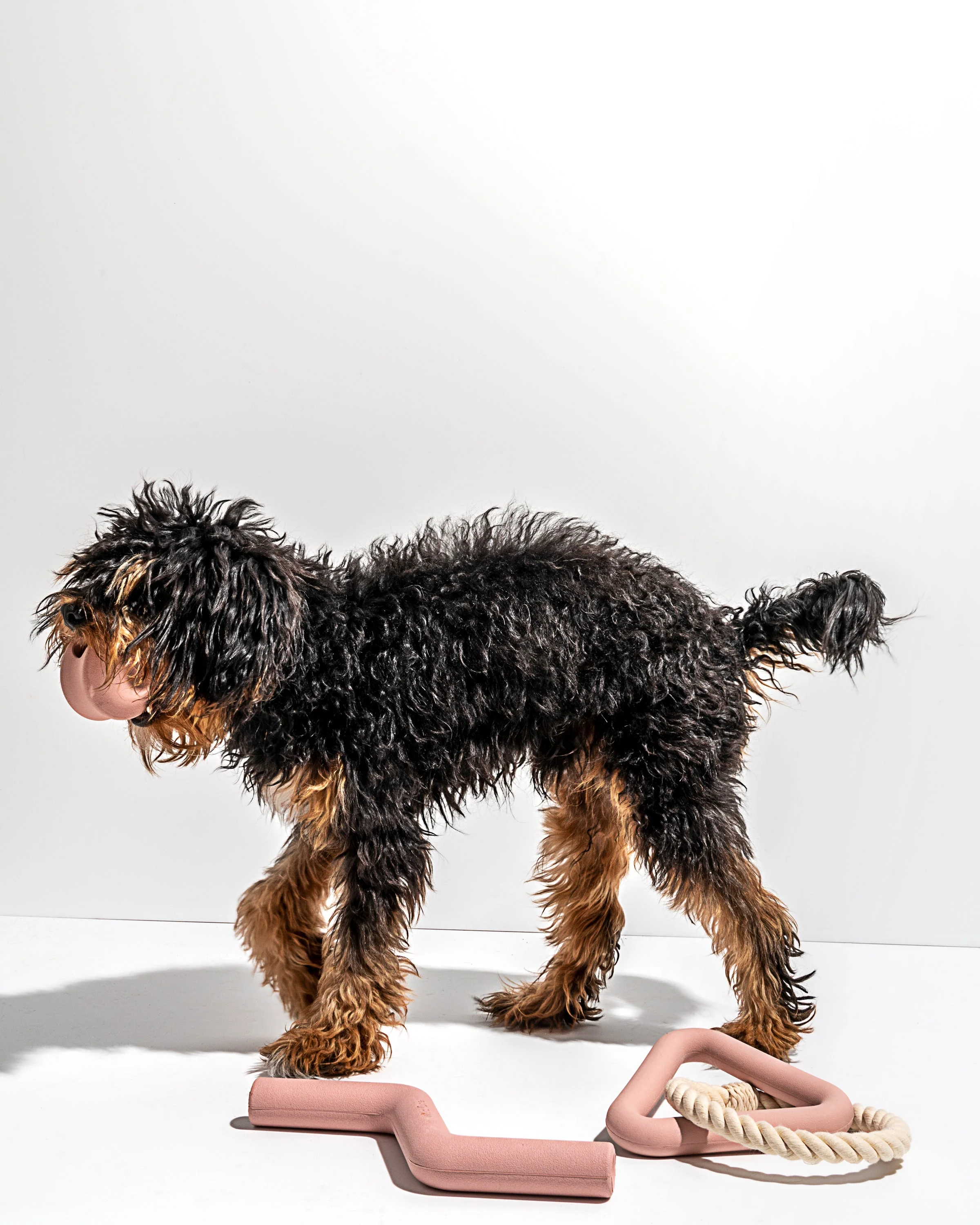 Dog Toy Kit - Image 26