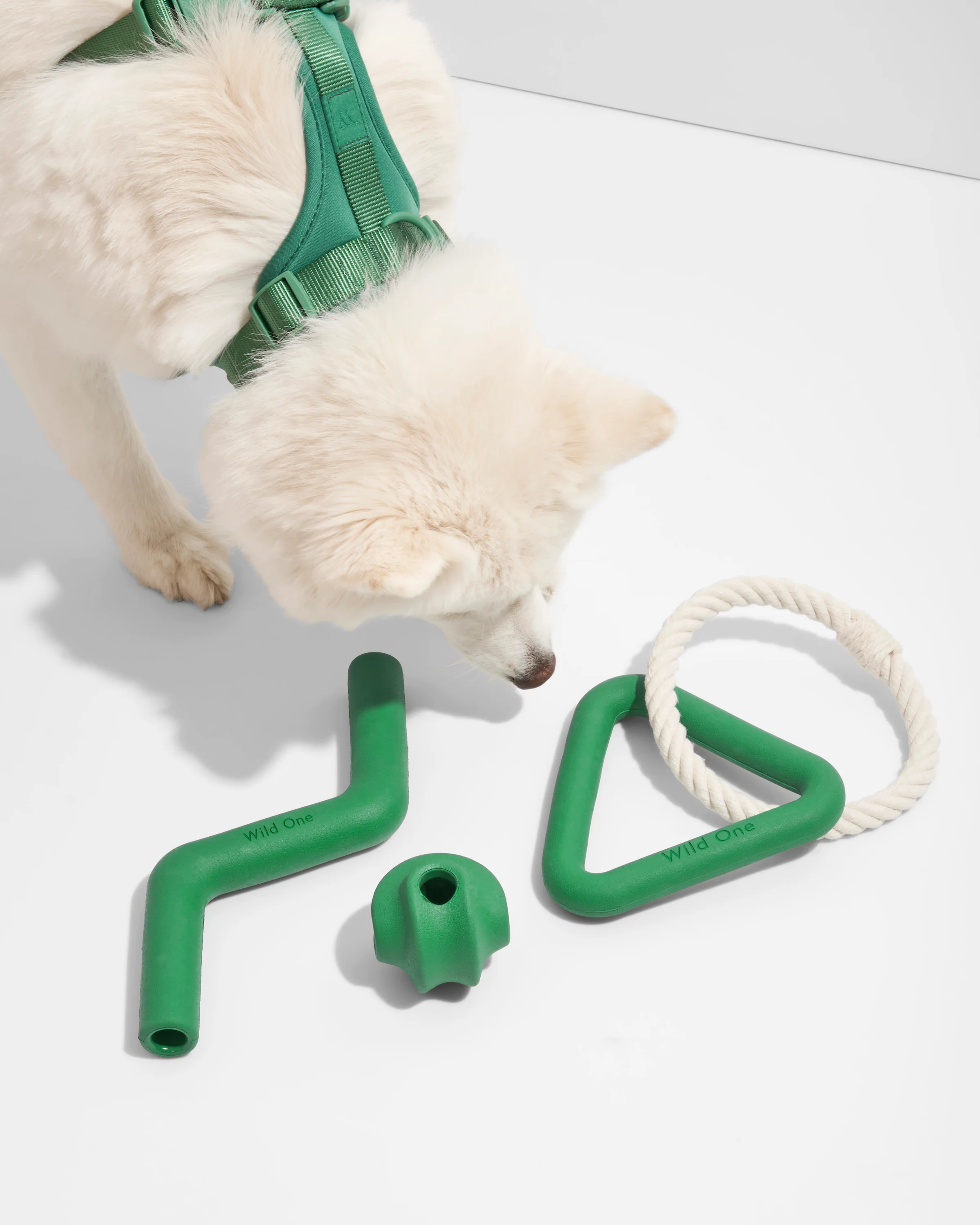 Dog Toy Kit - Image 9