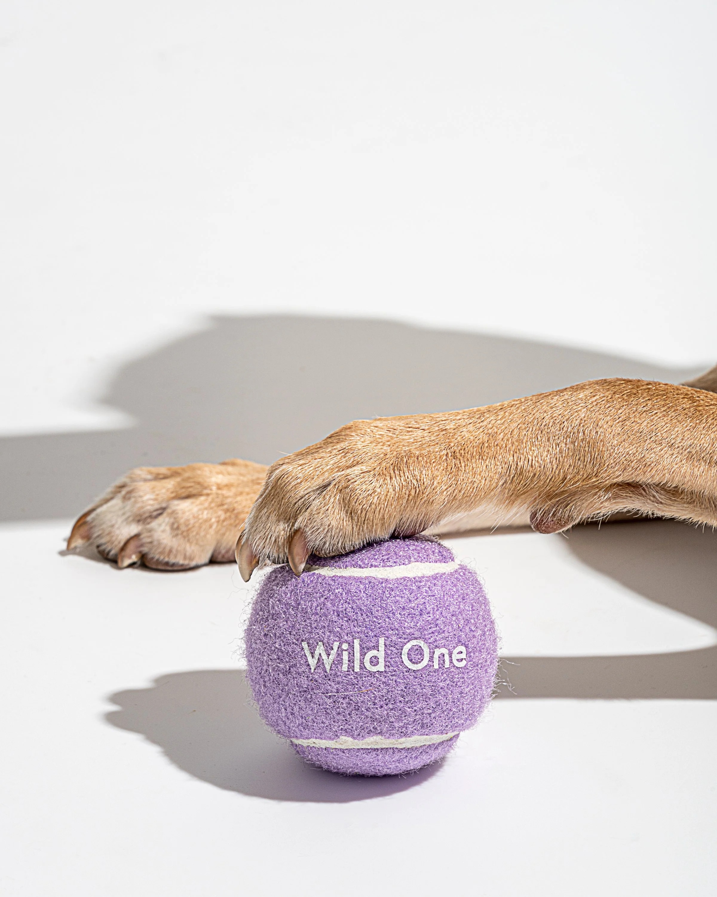 Tennis Balls 4-Pack - Image 11