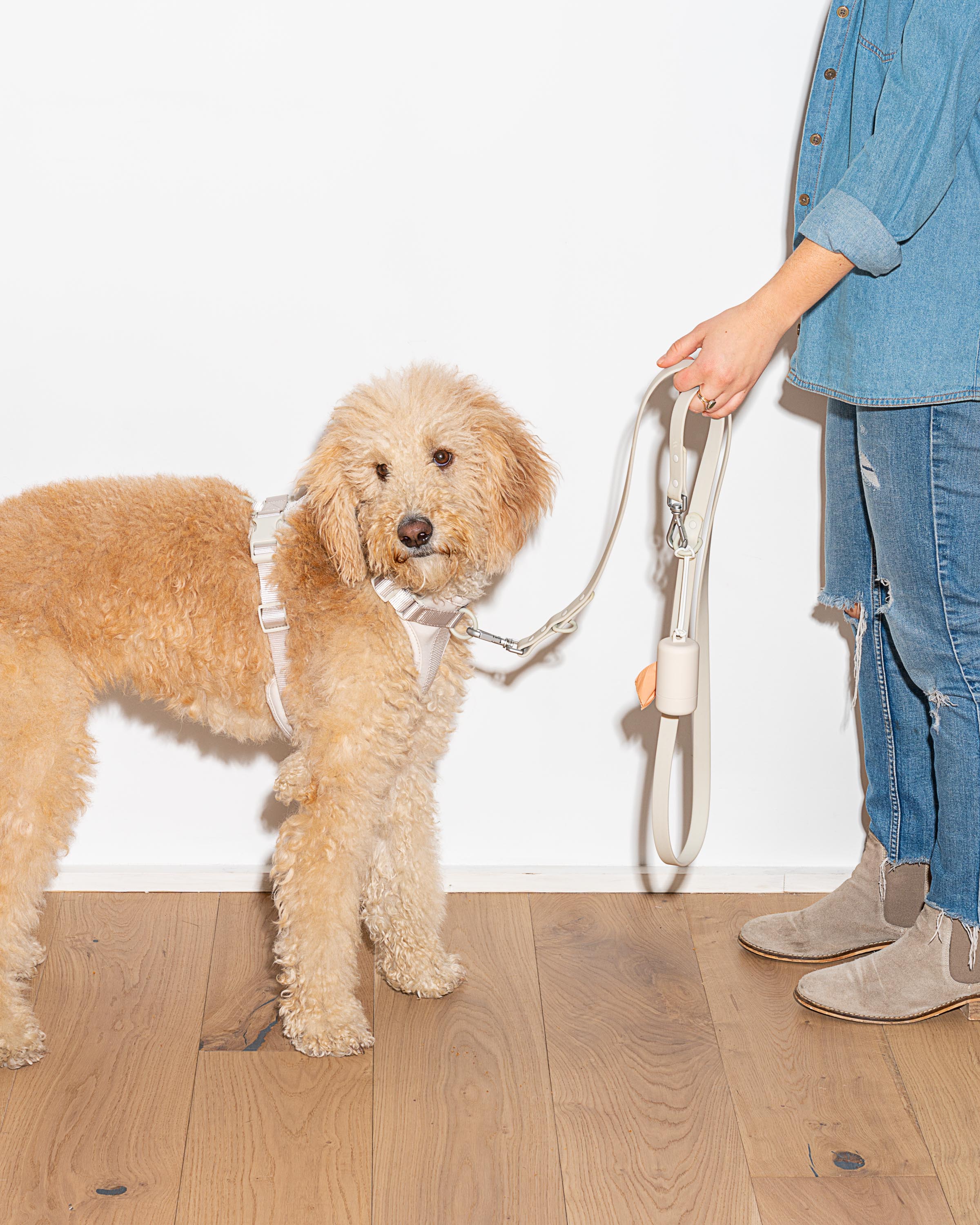 Waterproof Dog Leash - Image 65